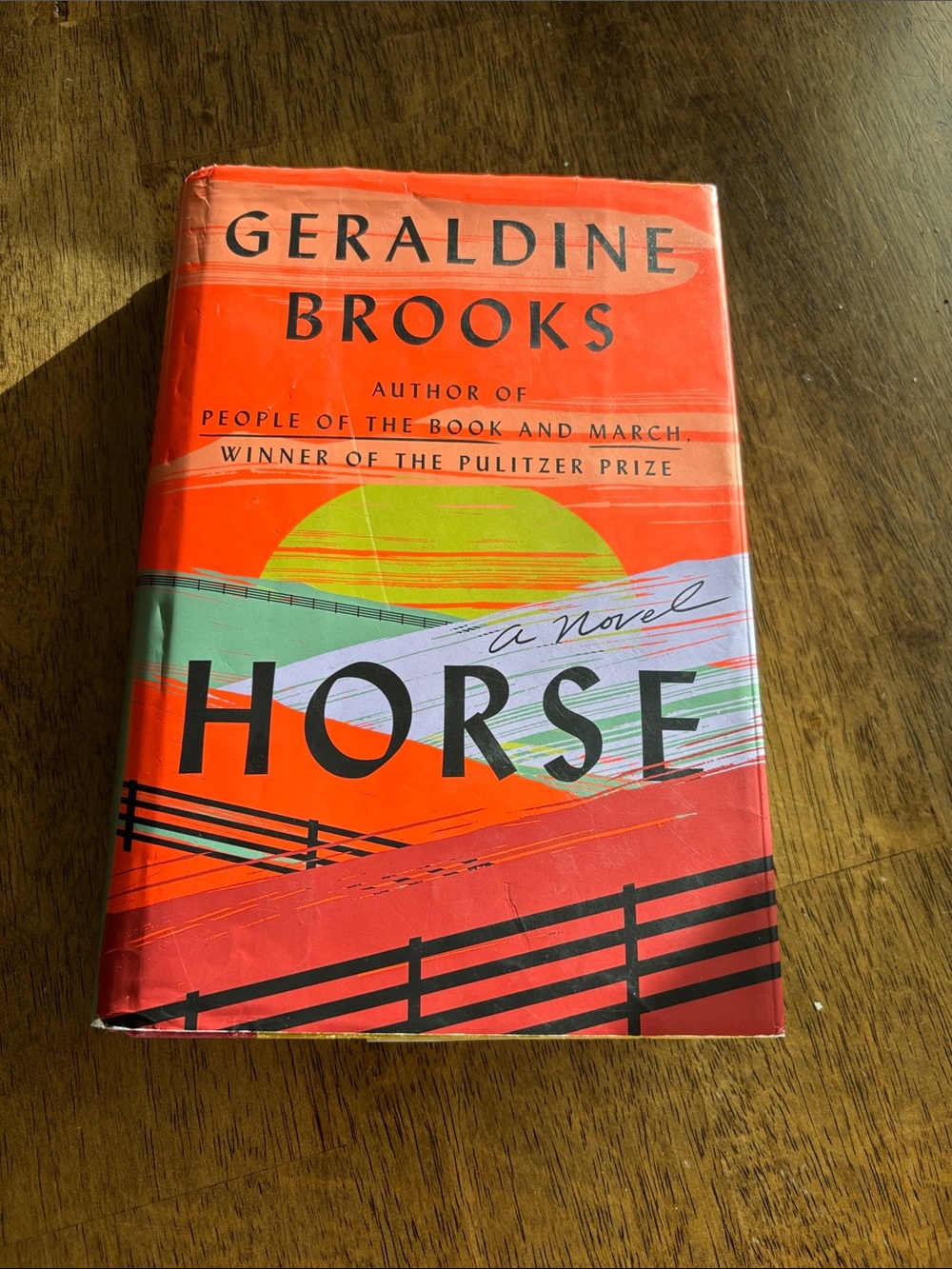 Horse by Geraldine Brooks- Hardcover, read once gently